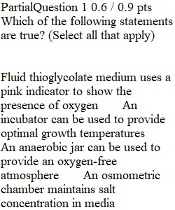 Quiz 7